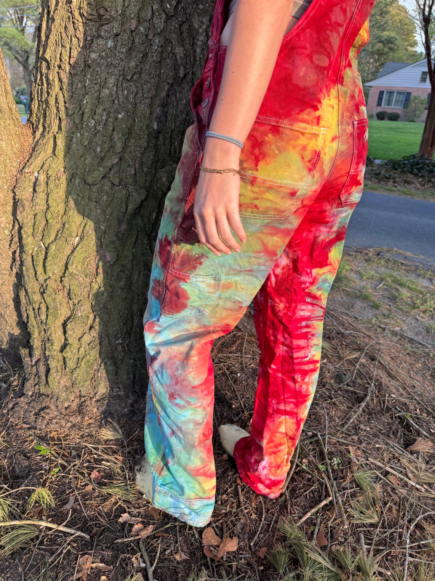 Rainbow Delight Overalls