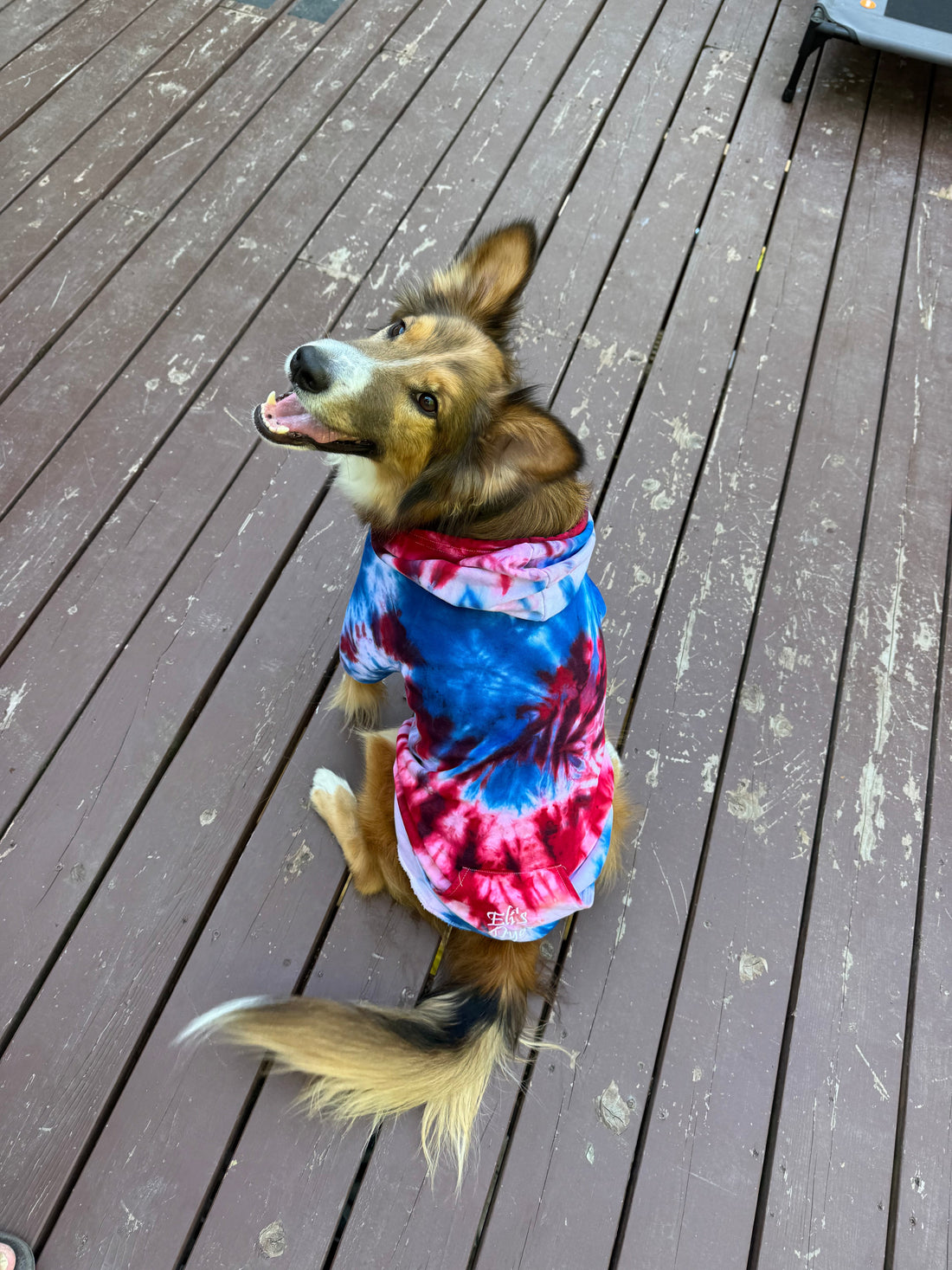 Star Spangled Banner Dog Hoodie – Patriotic Red, White & Blue Hoodie for Dogs