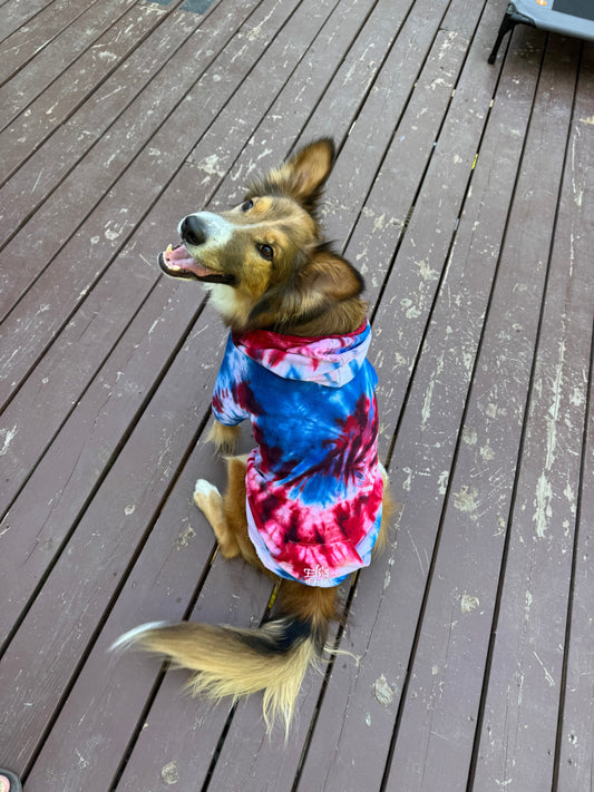 Star Spangled Banner Dog Hoodie – Patriotic Red, White & Blue Hoodie for Dogs