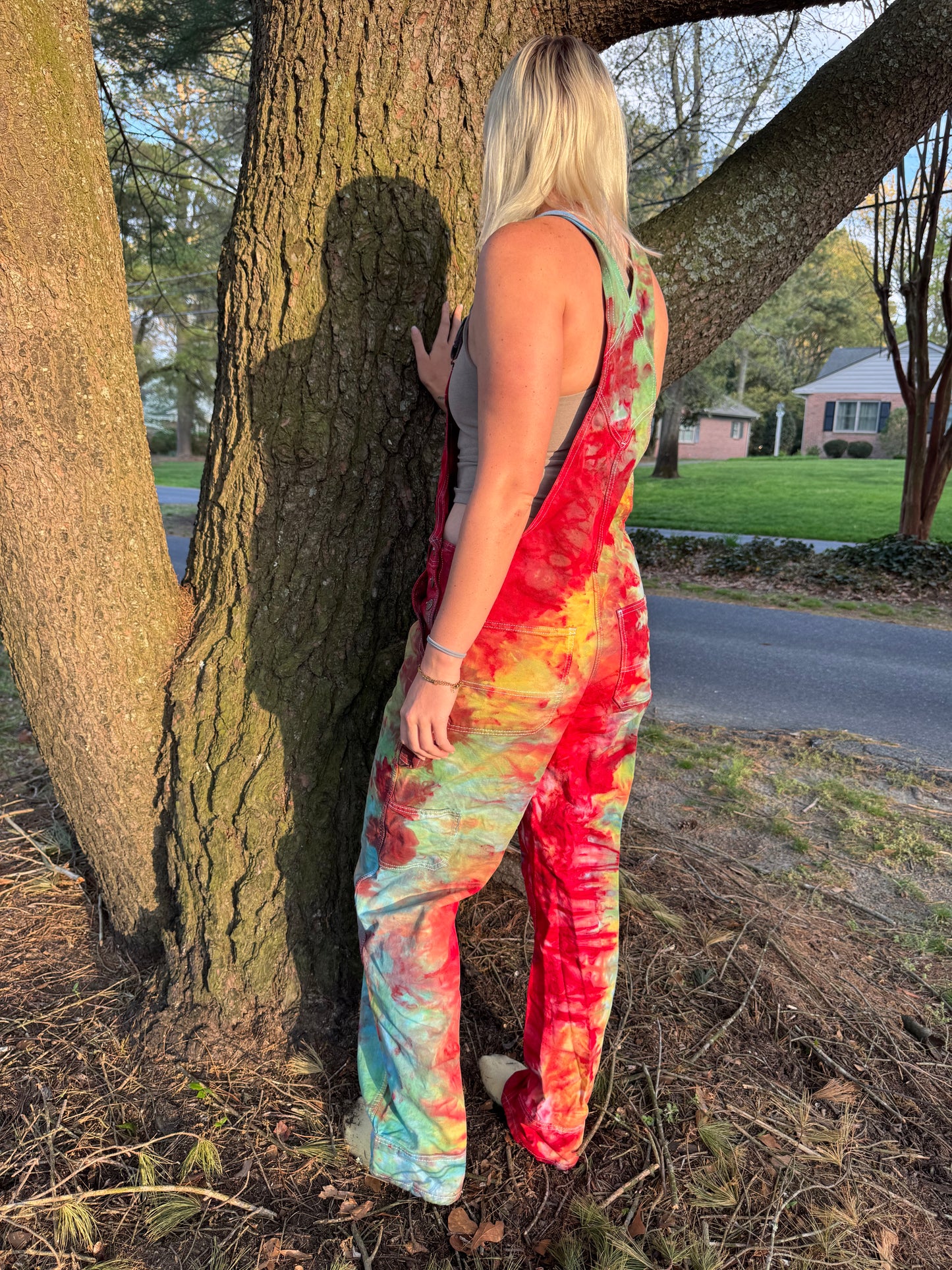 Rainbow Delight Overalls