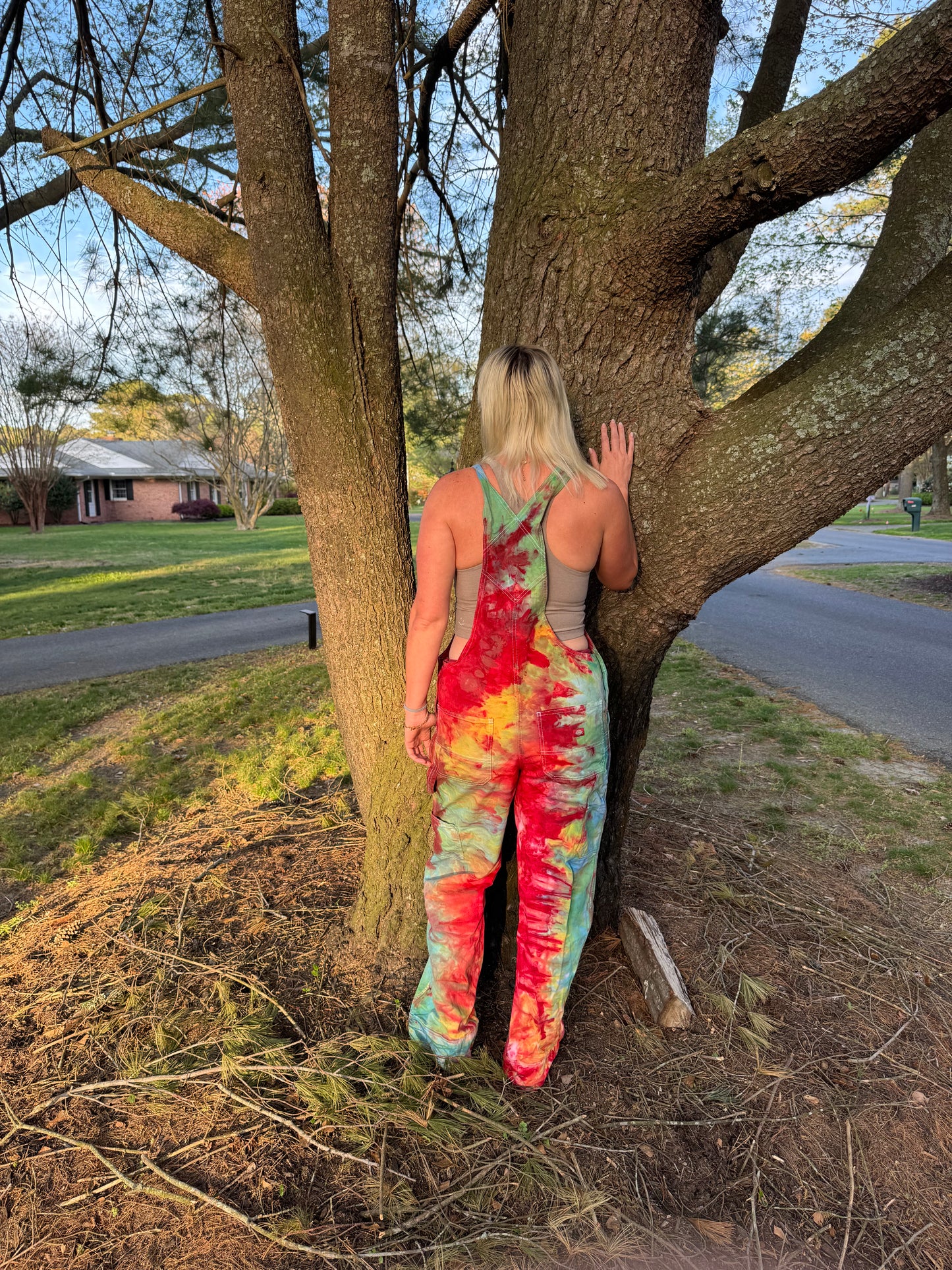 Rainbow Delight Overalls